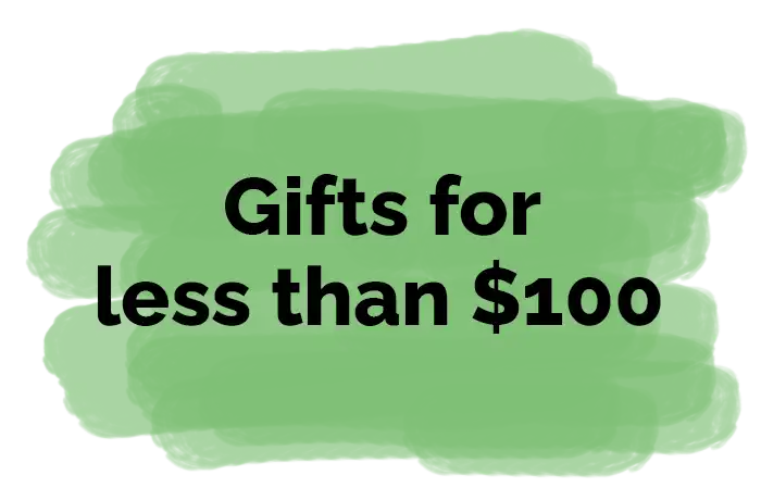 gifts for less than $100