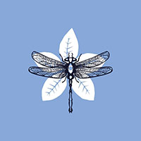 Logo domaineharrington