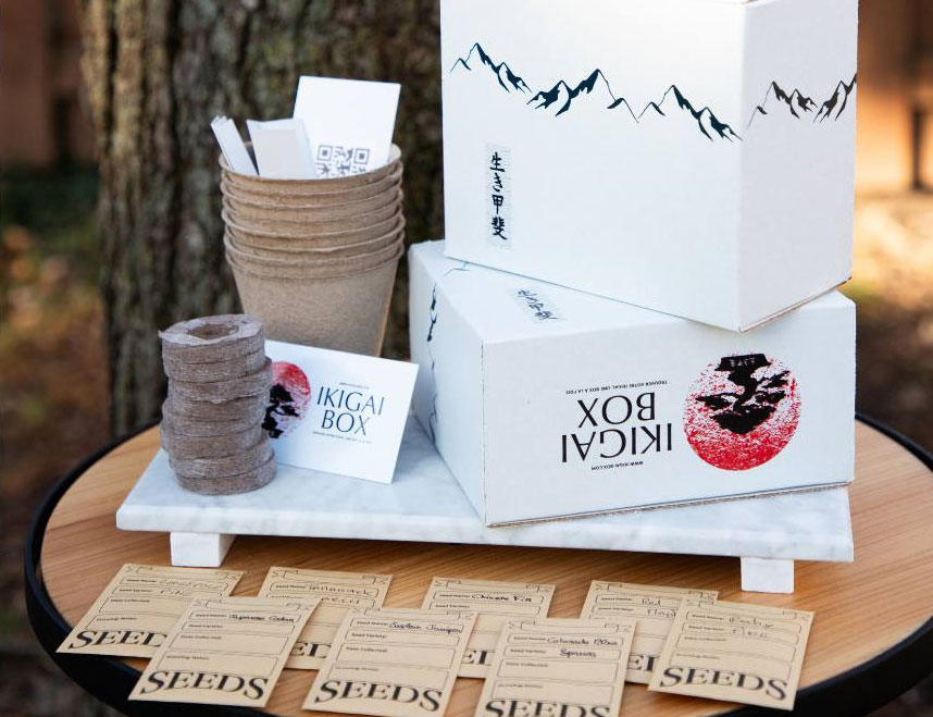 This Bonsai Box is a meaningful housewarming gift
