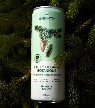 Mild spruce carbonated water