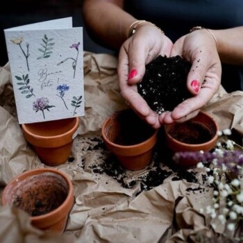 Plantable Seed Cards