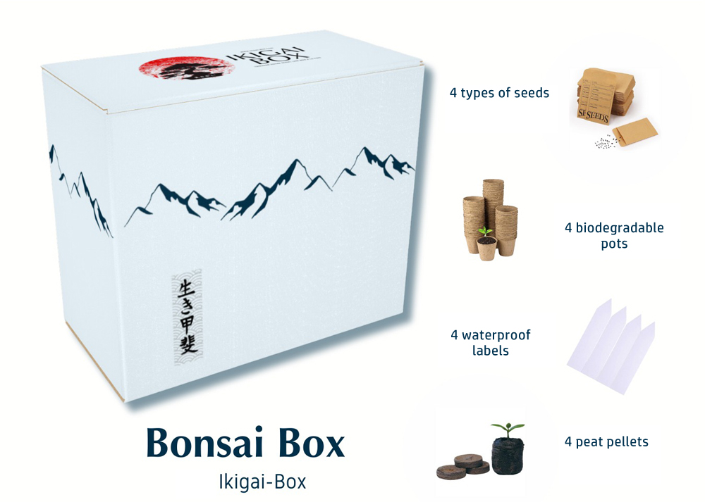 Bonsai box complete kit