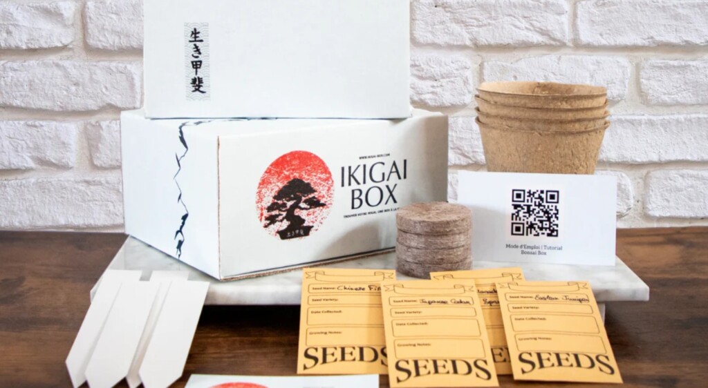 Bonsai box for bonsai lovers on father's day in Canada
