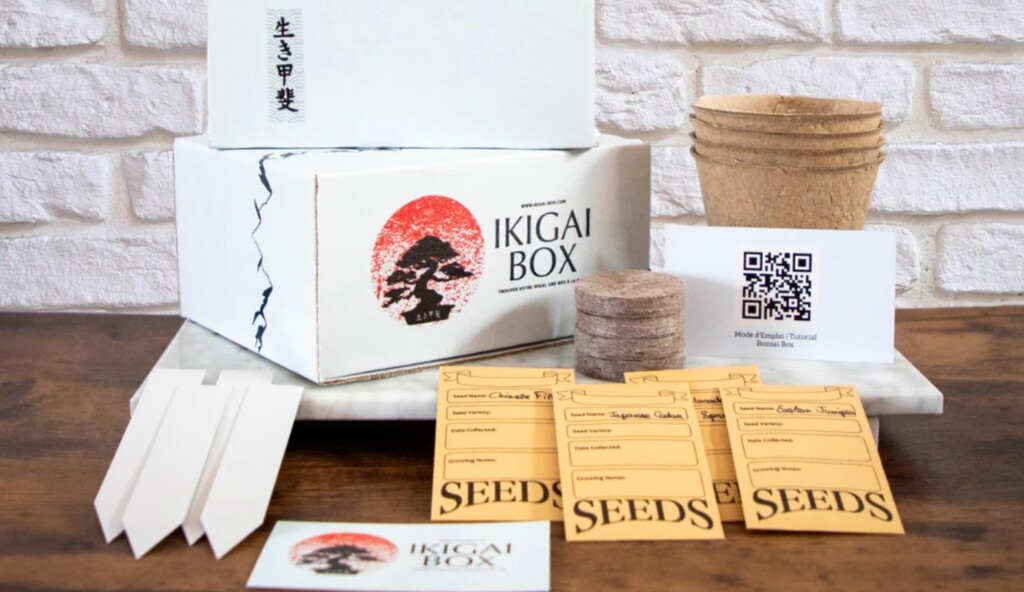 A Bonsai box is the perfect and peaceful gift