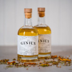 Boreal DIY Homemade Gin Kit
